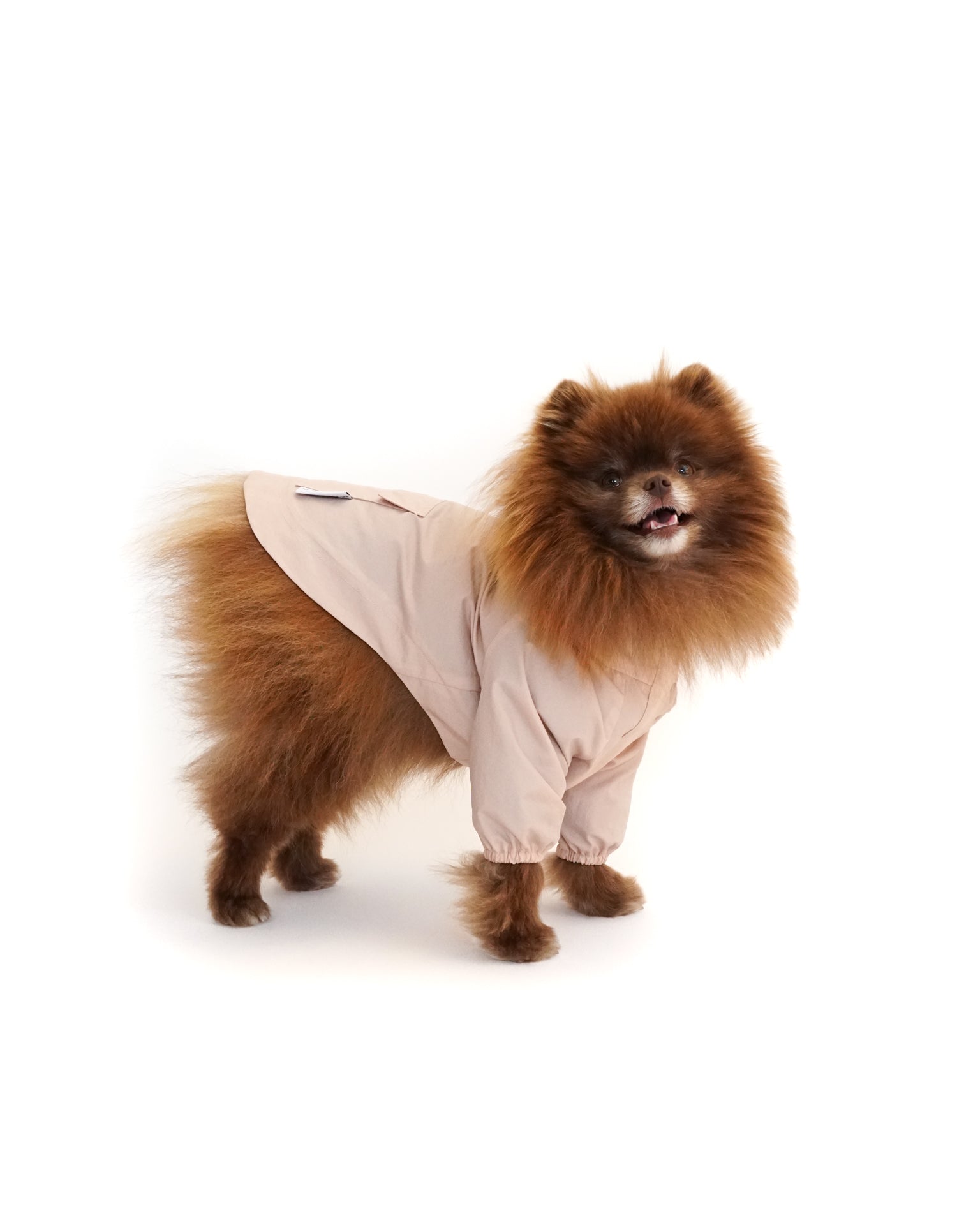 The Rain Jacket in Blush Pink Pom Chi Pet Boutique